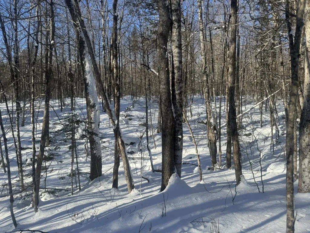 Lot 7 Curtis Farm Road Lincoln ME 04457