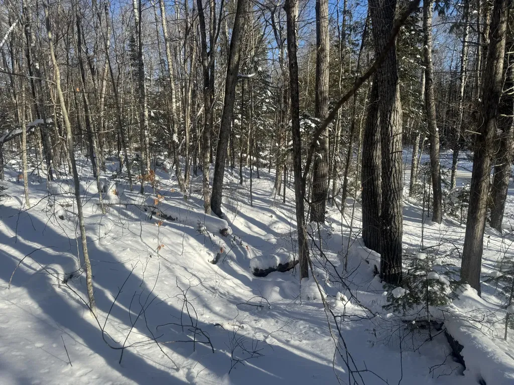 Lot 7 Curtis Farm Road Lincoln ME 04457