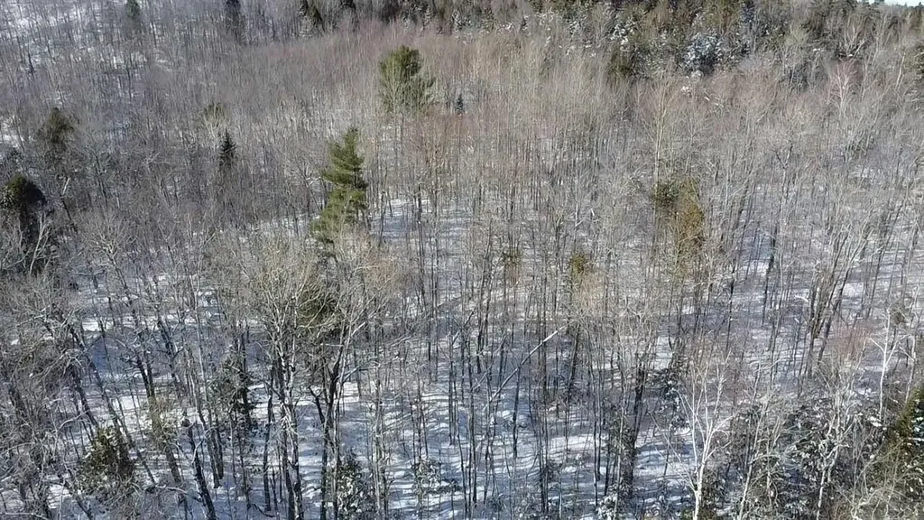 Lot 7 Curtis Farm Road Lincoln ME 04457
