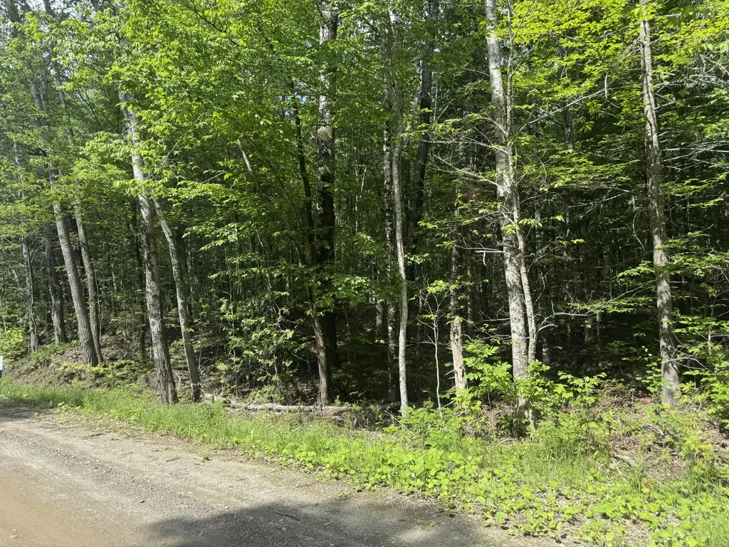 Lot 7 Curtis Farm Road Lincoln ME 04457