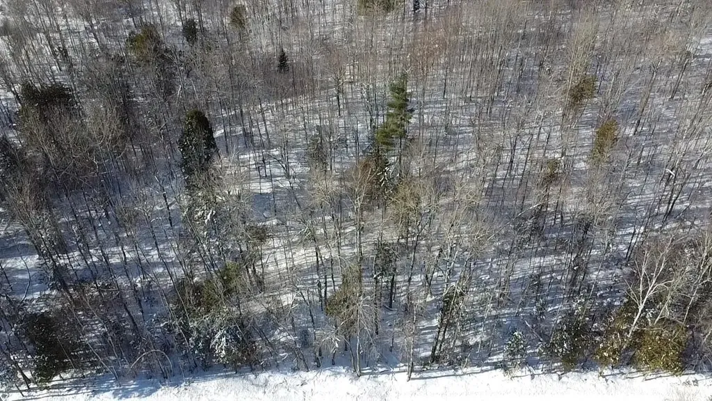 Lot 7 Curtis Farm Road Lincoln ME 04457