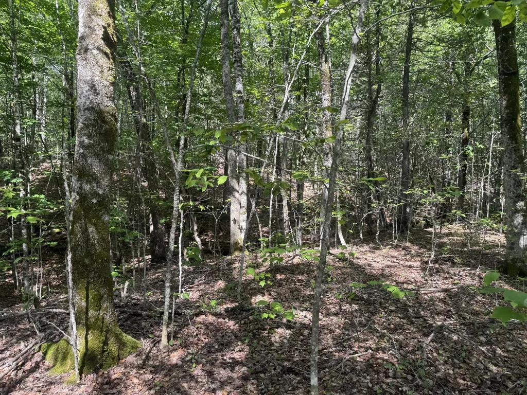Lot 7 Curtis Farm Road Lincoln ME 04457