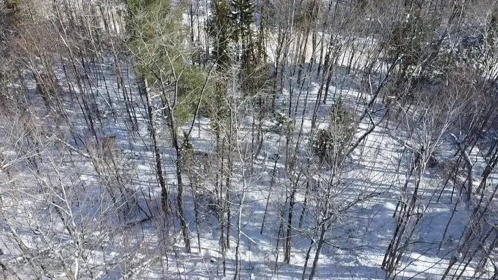 Lot 7 Curtis Farm Road Lincoln ME 04457