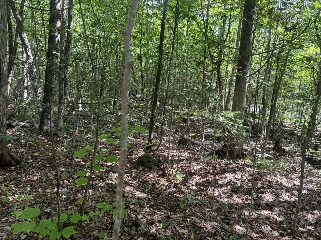 Lot 7 Curtis Farm Road Lincoln ME 04457