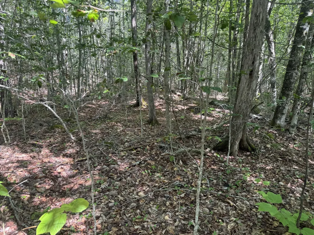 Lot 7 Curtis Farm Road Lincoln ME 04457