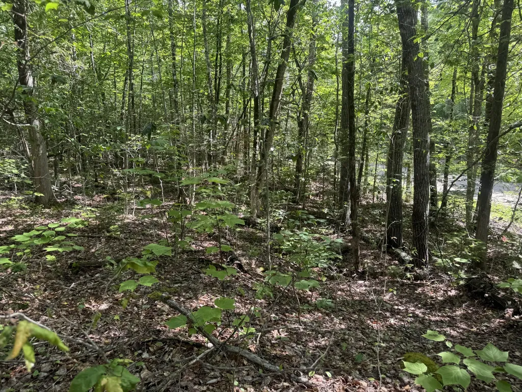 Lot 7 Curtis Farm Road Lincoln ME 04457