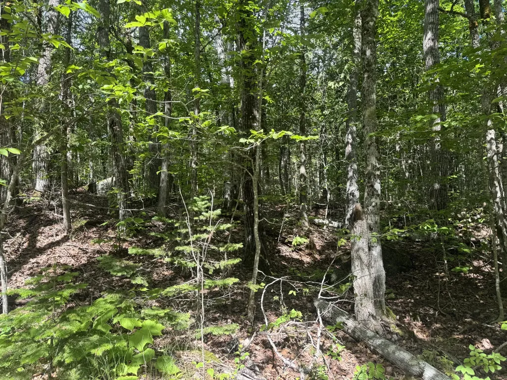 Lot 7 Curtis Farm Road Lincoln ME 04457