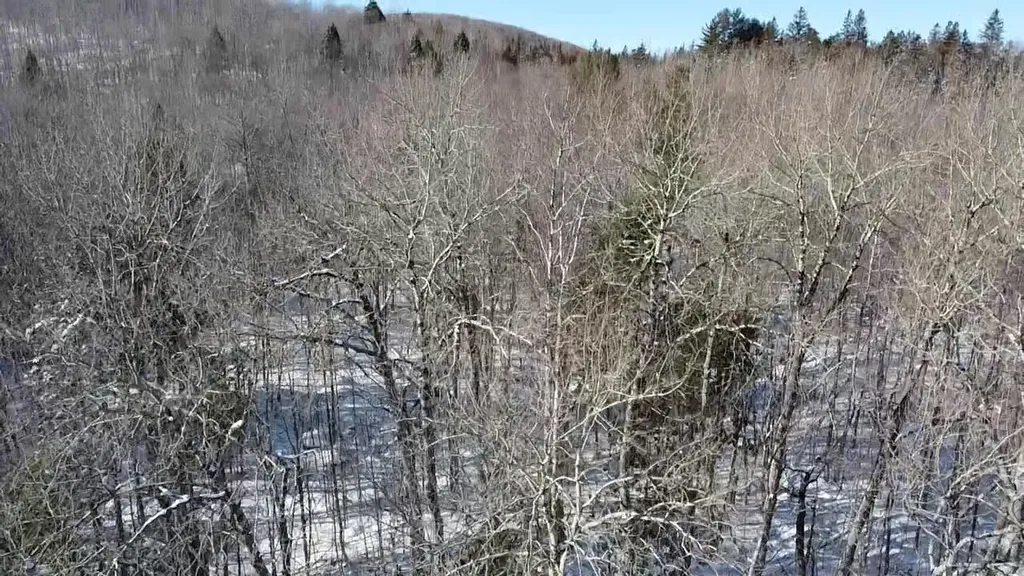 Lot 7 Curtis Farm Road Lincoln ME 04457