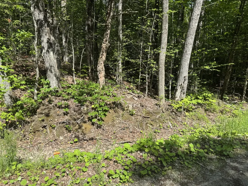 Lot 7 Curtis Farm Road Lincoln ME 04457