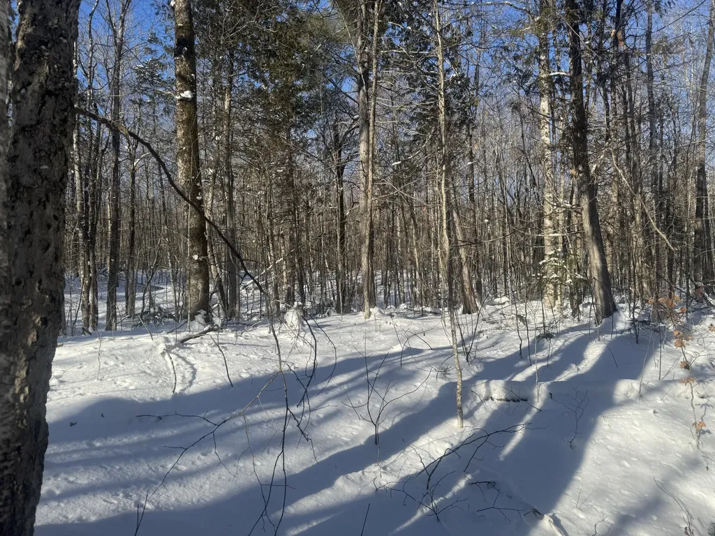 Lot 7 Curtis Farm Road Lincoln ME 04457
