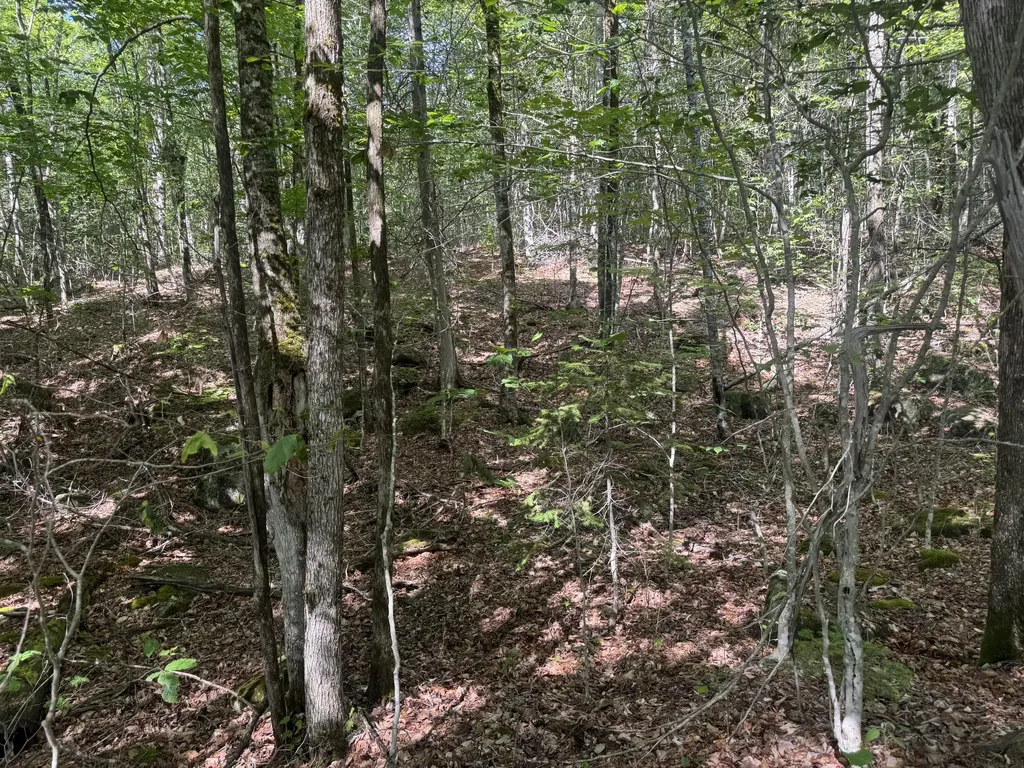 Lot 7 Curtis Farm Road Lincoln ME 04457