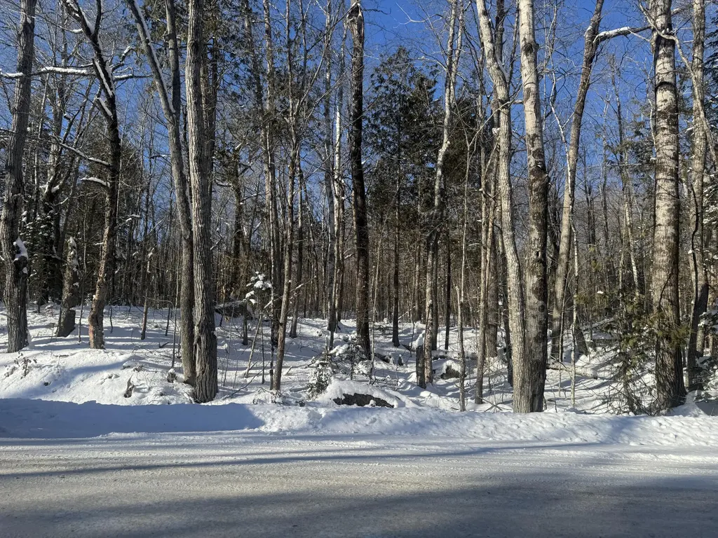 Lot 7 Curtis Farm Road Lincoln ME 04457