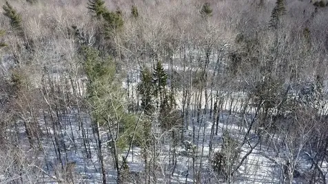 Lot 7 Curtis Farm Road Lincoln ME 04457