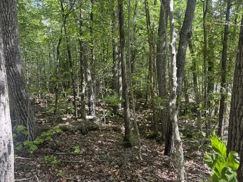 Lot 7 Curtis Farm Road Lincoln ME 04457