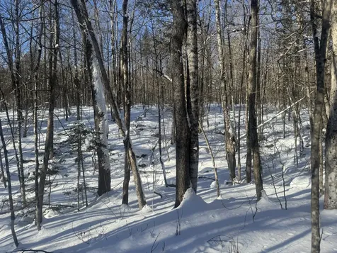 Lot 7 Curtis Farm Road Lincoln ME 04457