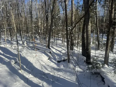 Lot 7 Curtis Farm Road Lincoln ME 04457