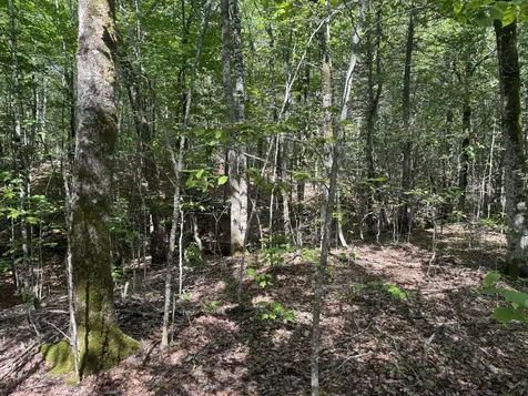 Lot 7 Curtis Farm Road Lincoln ME 04457