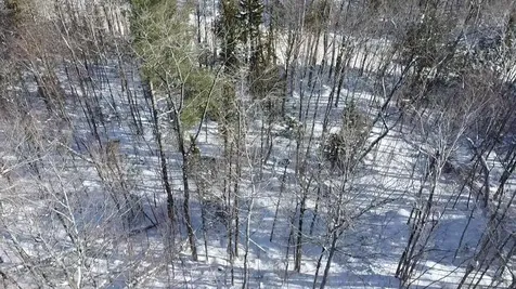 Lot 7 Curtis Farm Road Lincoln ME 04457