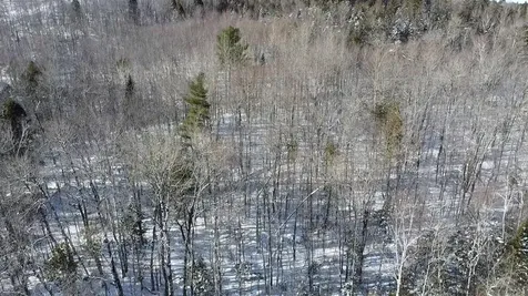 Lot 7 Curtis Farm Road Lincoln ME 04457
