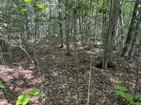 Lot 7 Curtis Farm Road Lincoln ME 04457
