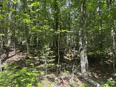 Lot 7 Curtis Farm Road Lincoln ME 04457