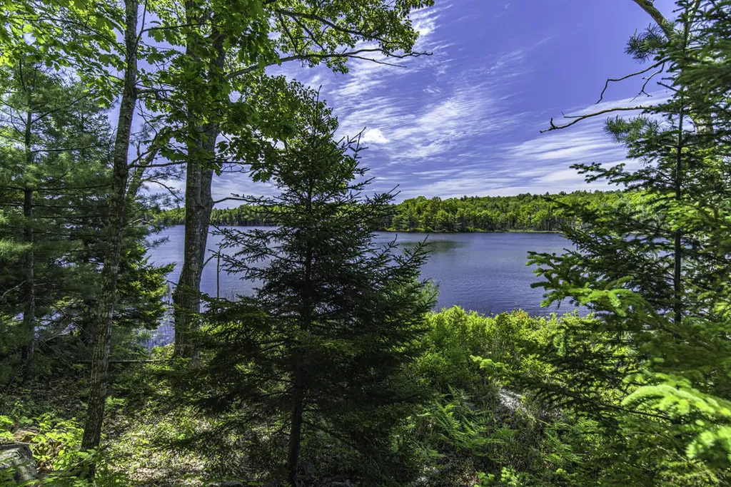 48 Douglass Loop Blue Hill ME 04614