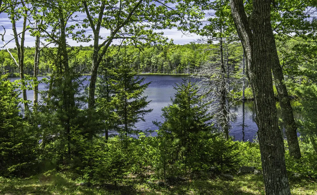 48 Douglass Loop Blue Hill ME 04614
