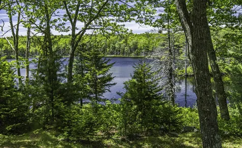 48 Douglass Loop Blue Hill ME 04614