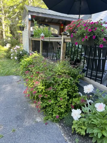 36 Greenlaw District Road Deer Isle ME 04627