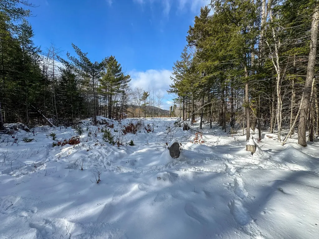 100 Sam Brown Hill Road Brownfield ME 04010