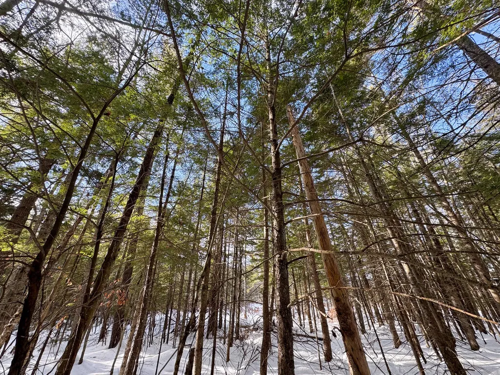 100 Sam Brown Hill Road Brownfield ME 04010