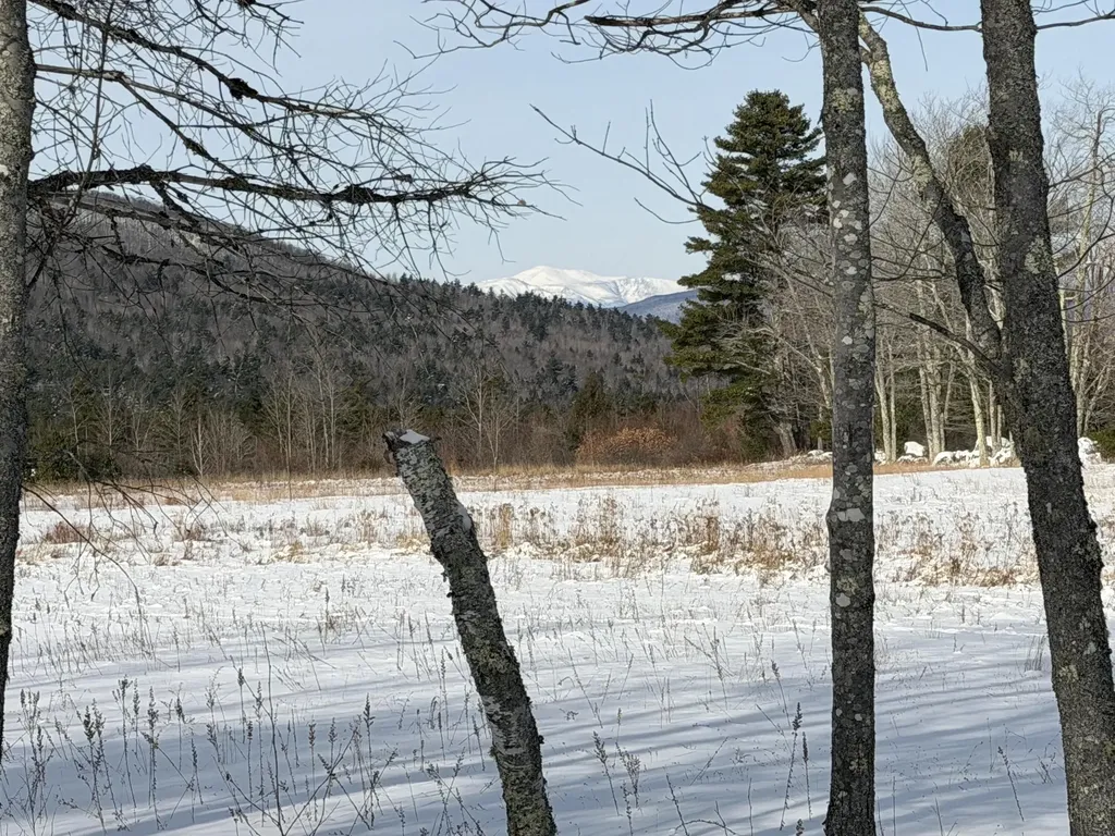 100 Sam Brown Hill Road Brownfield ME 04010