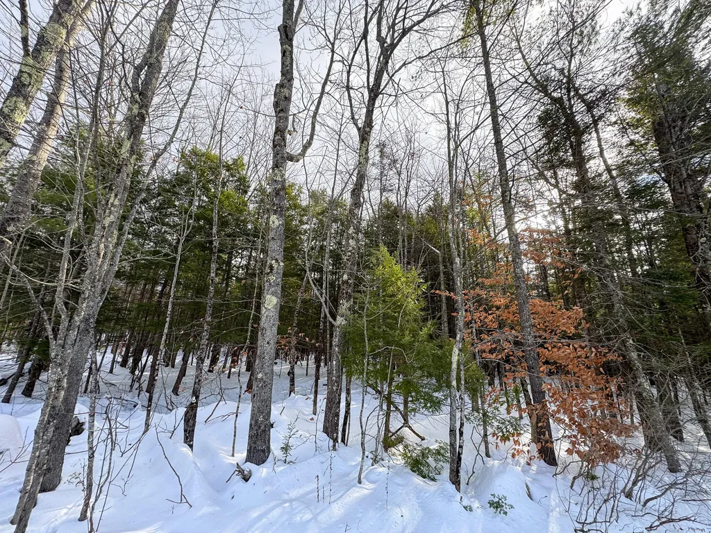 100 Sam Brown Hill Road Brownfield ME 04010