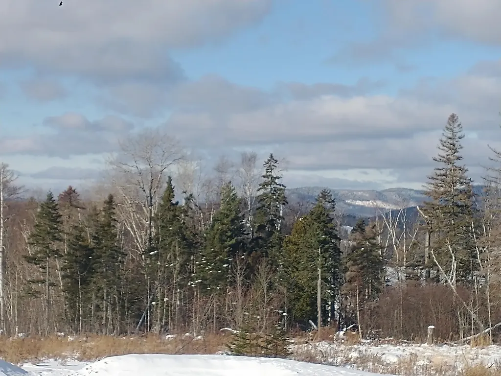Lot 6 Eva D Lane Rangeley ME 04970