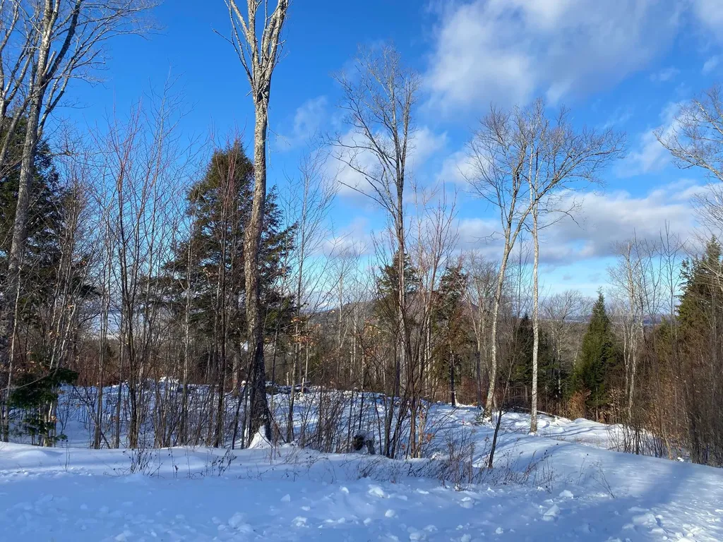 41 Bay View Drive Greenville ME 04441