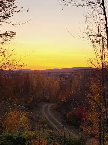 Lot 9 Moose Ridge Road Oakfield ME 04763