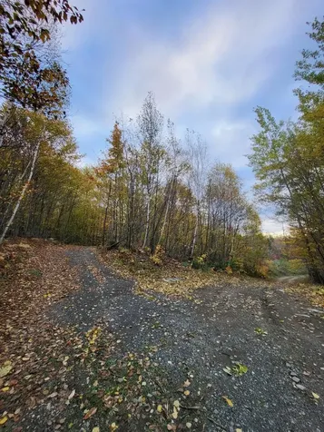 Lot 9 Moose Ridge Road Oakfield ME 04763
