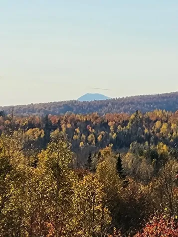 Lot 9 Moose Ridge Road Oakfield ME 04763