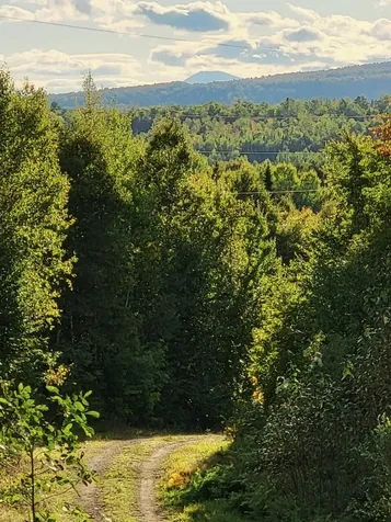 Lot 9 Moose Ridge Road Oakfield ME 04763