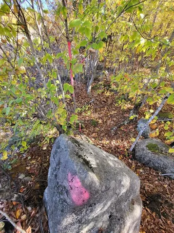 Lot 9 Moose Ridge Road Oakfield ME 04763