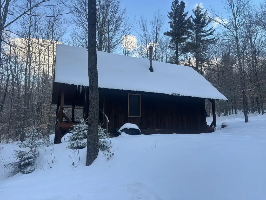 Lot 01/31 Spruce Pond Road Lexington Twp ME 04961