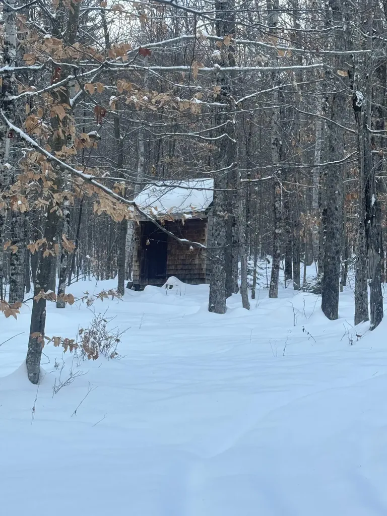Lot 01/31 Spruce Pond Road Lexington Twp ME 04961