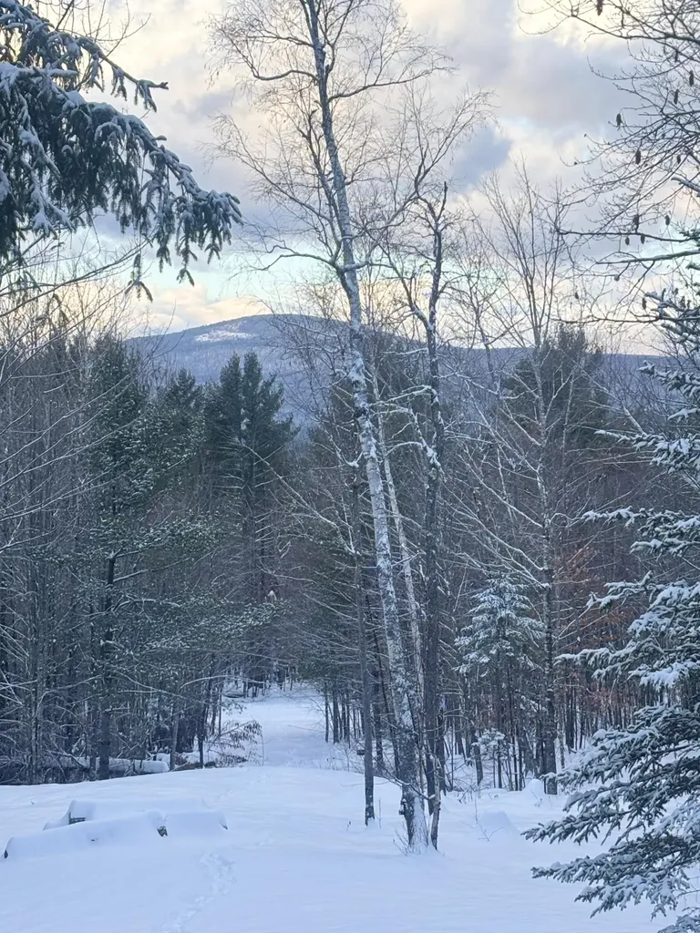 Lot 01/31 Spruce Pond Road Lexington Twp ME 04961