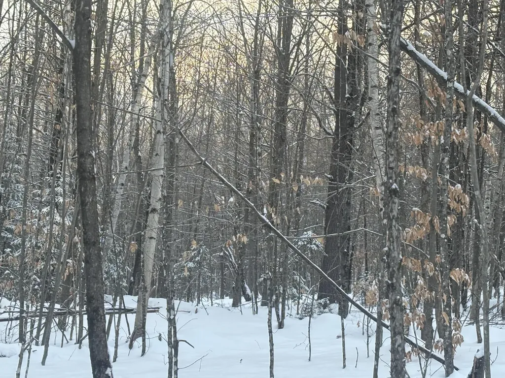 Lot 01/31 Spruce Pond Road Lexington Twp ME 04961