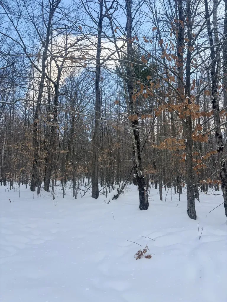 Lot 01/31 Spruce Pond Road Lexington Twp ME 04961