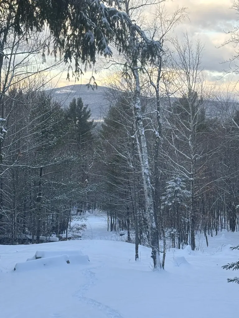 Lot 01/31 Spruce Pond Road Lexington Twp ME 04961