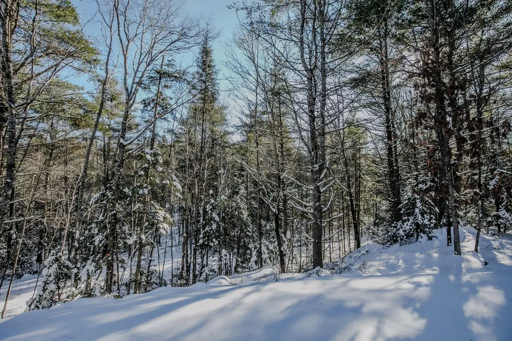 71 Borskis Way Wiscasset ME 04578