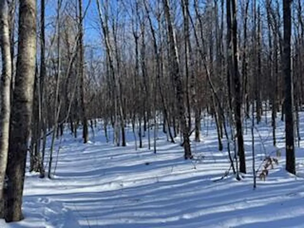 LOT#32 Beech Ridge Lane West Paris ME 04289