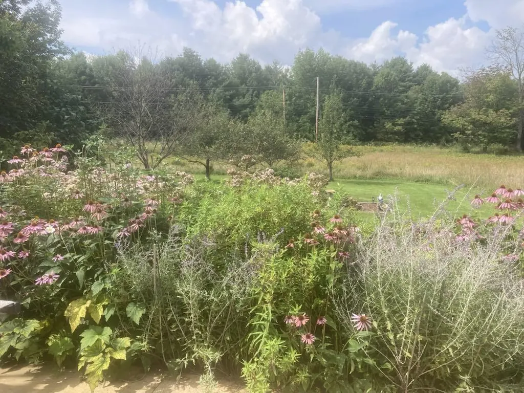 22 Old Jay Hill Road Jay ME 04239