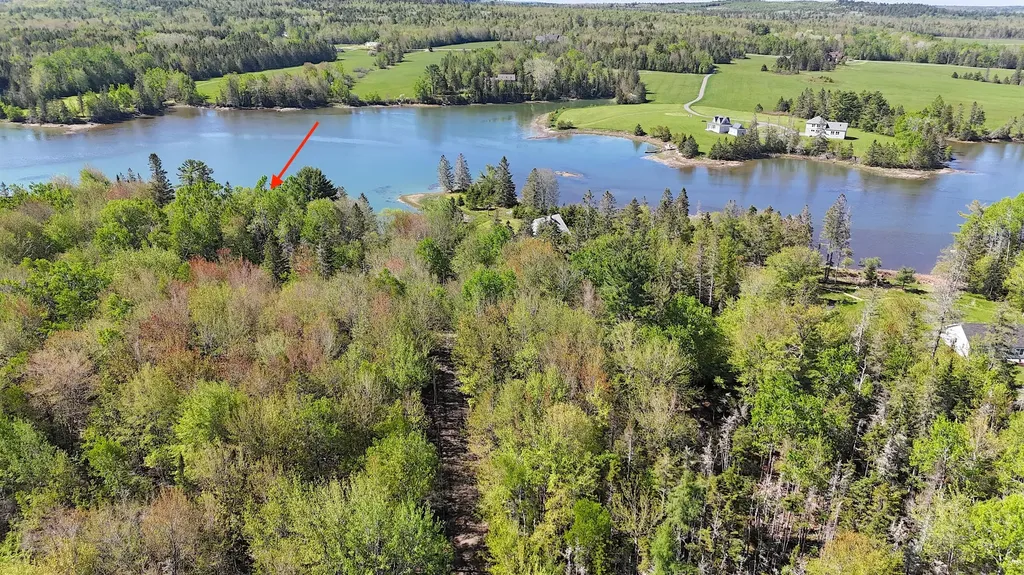 0 Mallard Lane Lamoine ME 04605